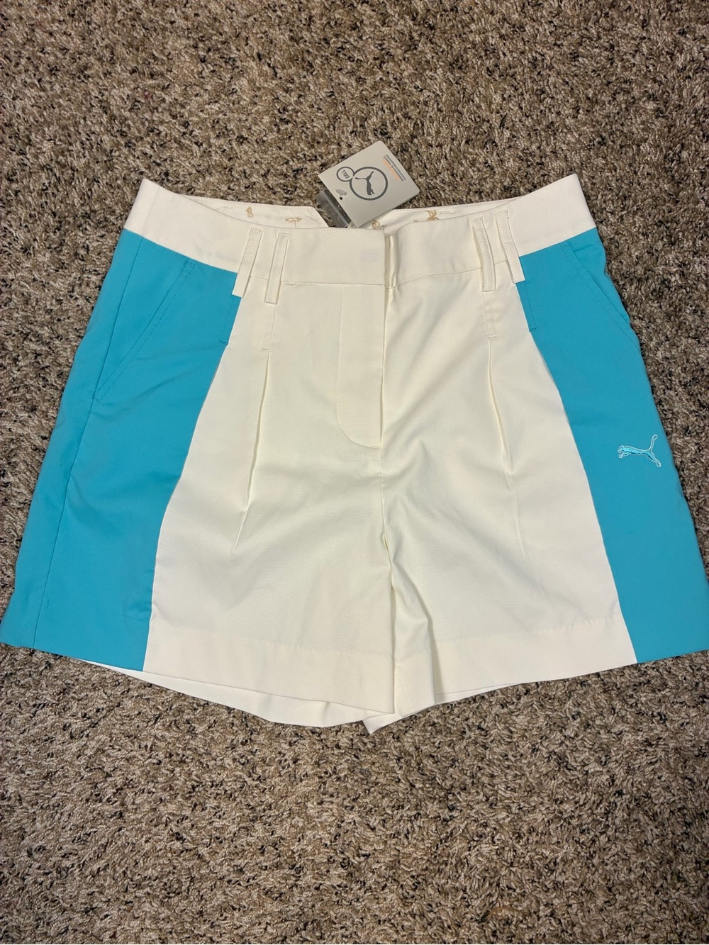 Puma Dry Cell Color Block Golf Shorts